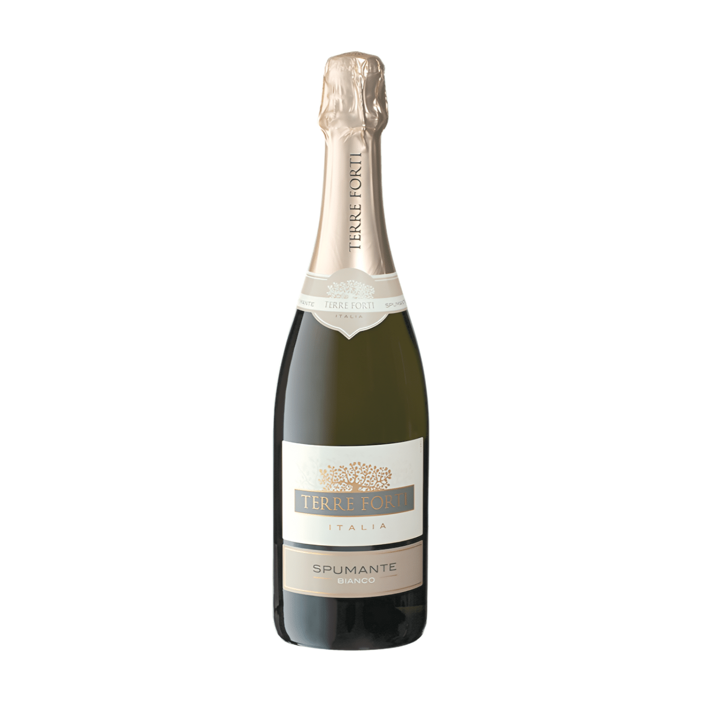 Terre Forti Spumante Bianco Secco - Udsalg på Mousserende Vin