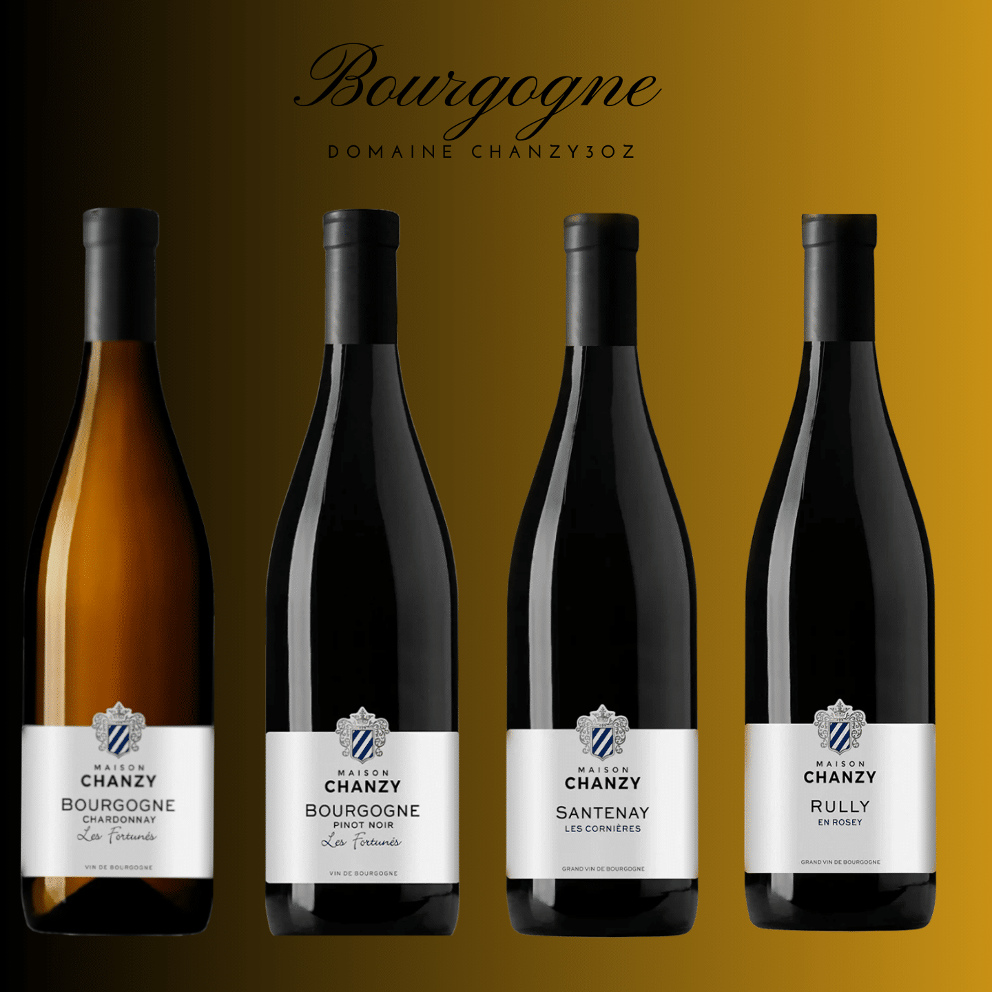 Chanzy Bourgogne Smagekasse – Oplev Pinot Noir Vine