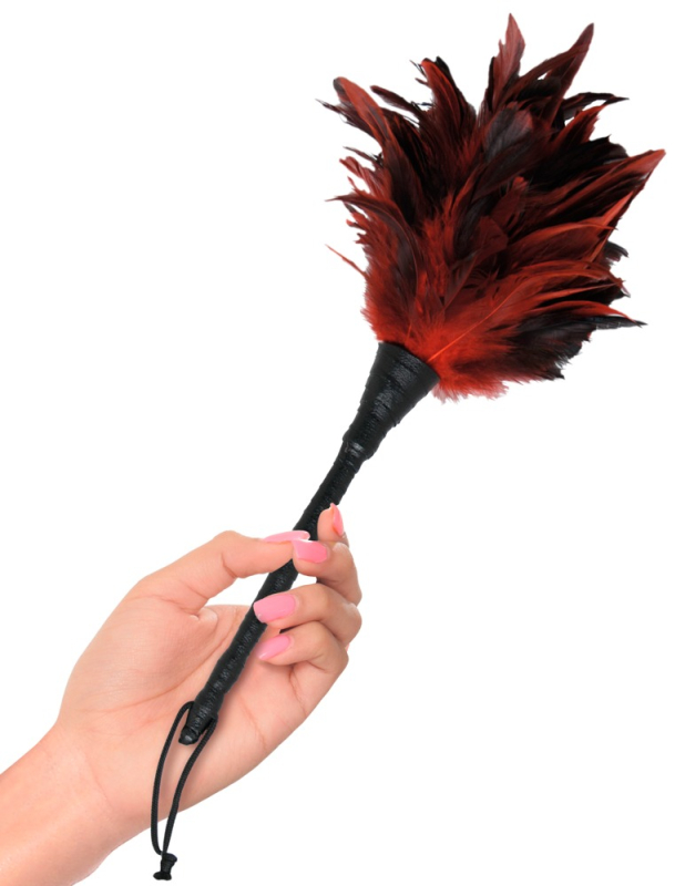 Frisky Feather Duster fra Fetish